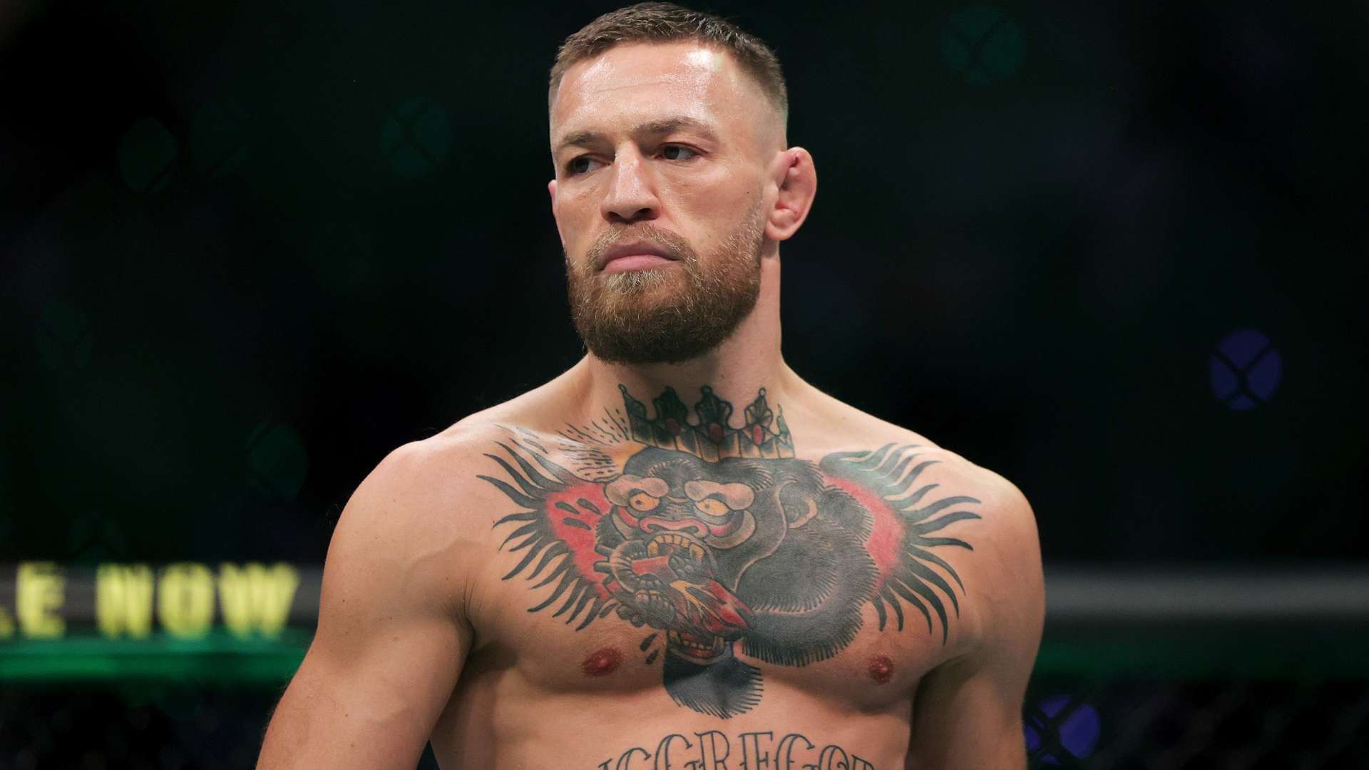 长以及在赛 长以及在赛