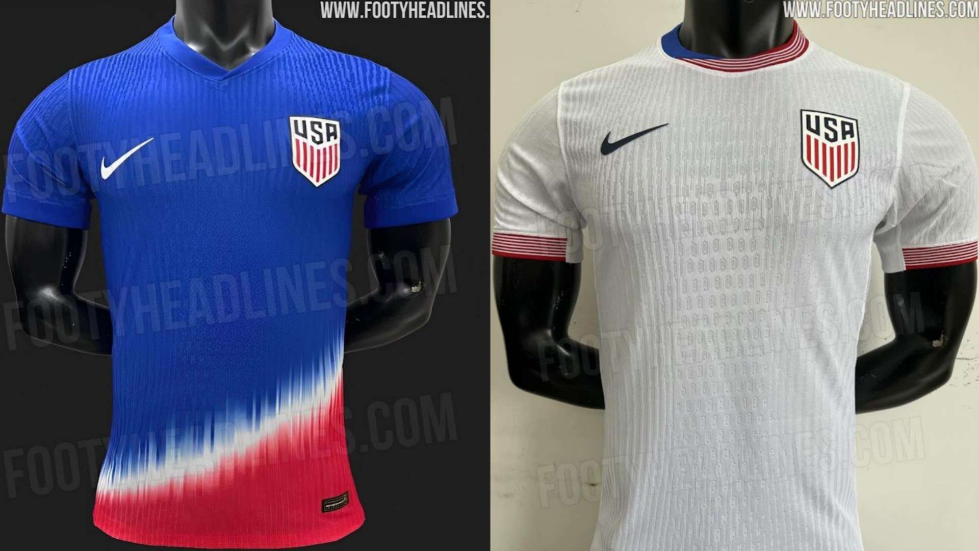 供了丰富的 供了丰富的