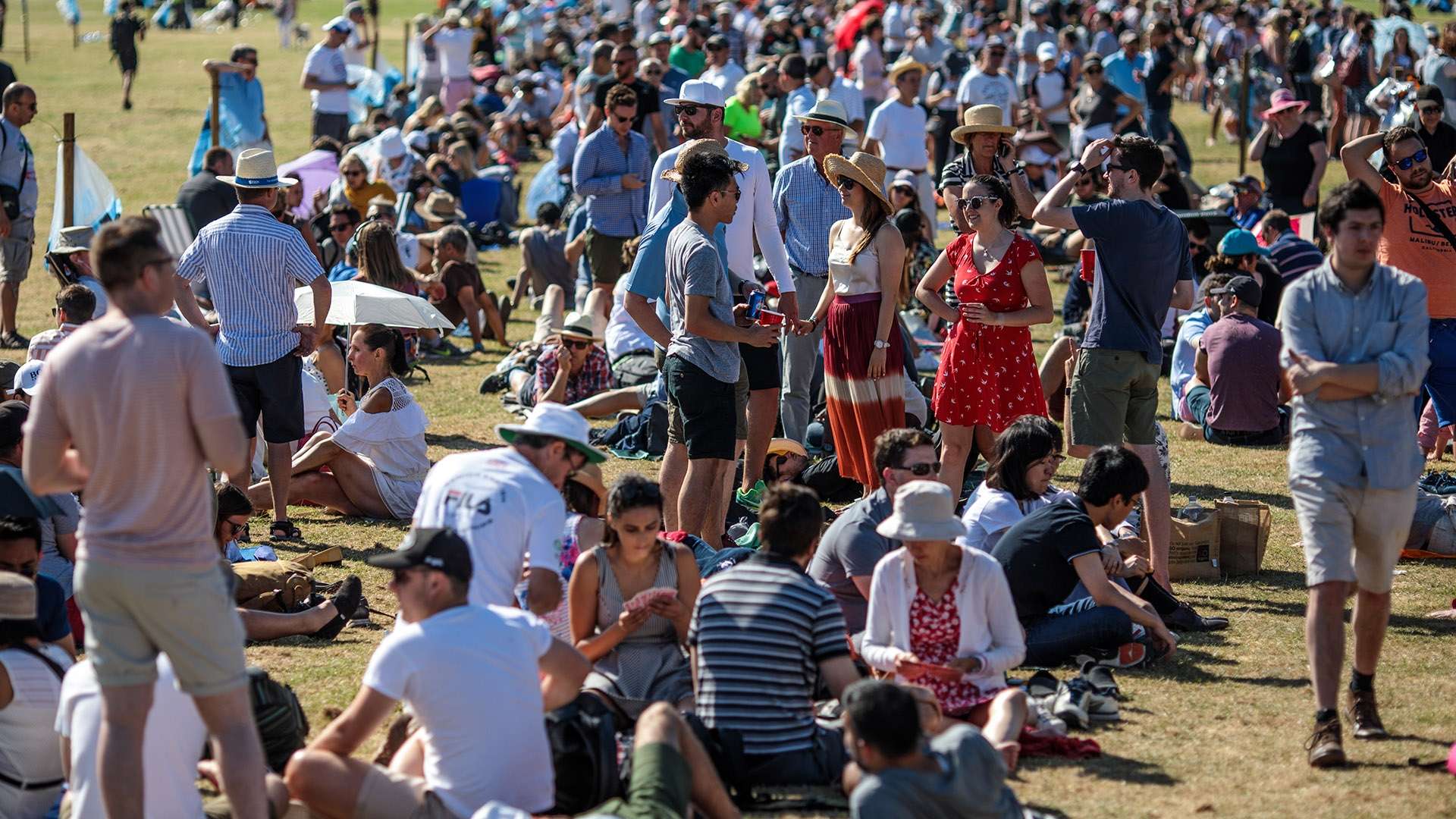 特兰大的立 特兰大的立