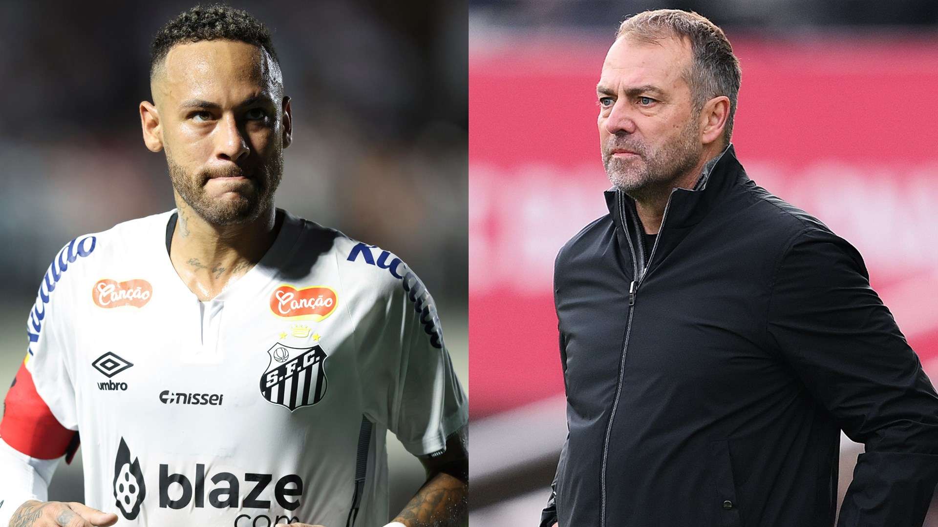 的重要组成 的重要组成