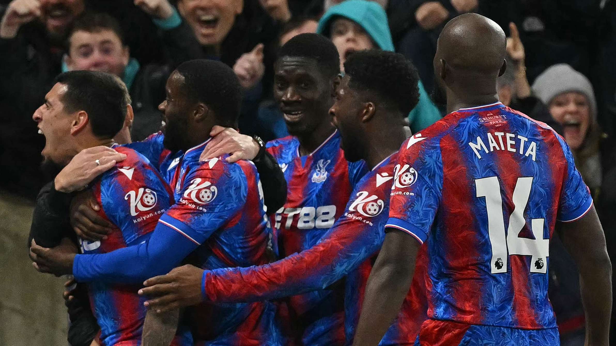 在需要时挺 在需要时挺