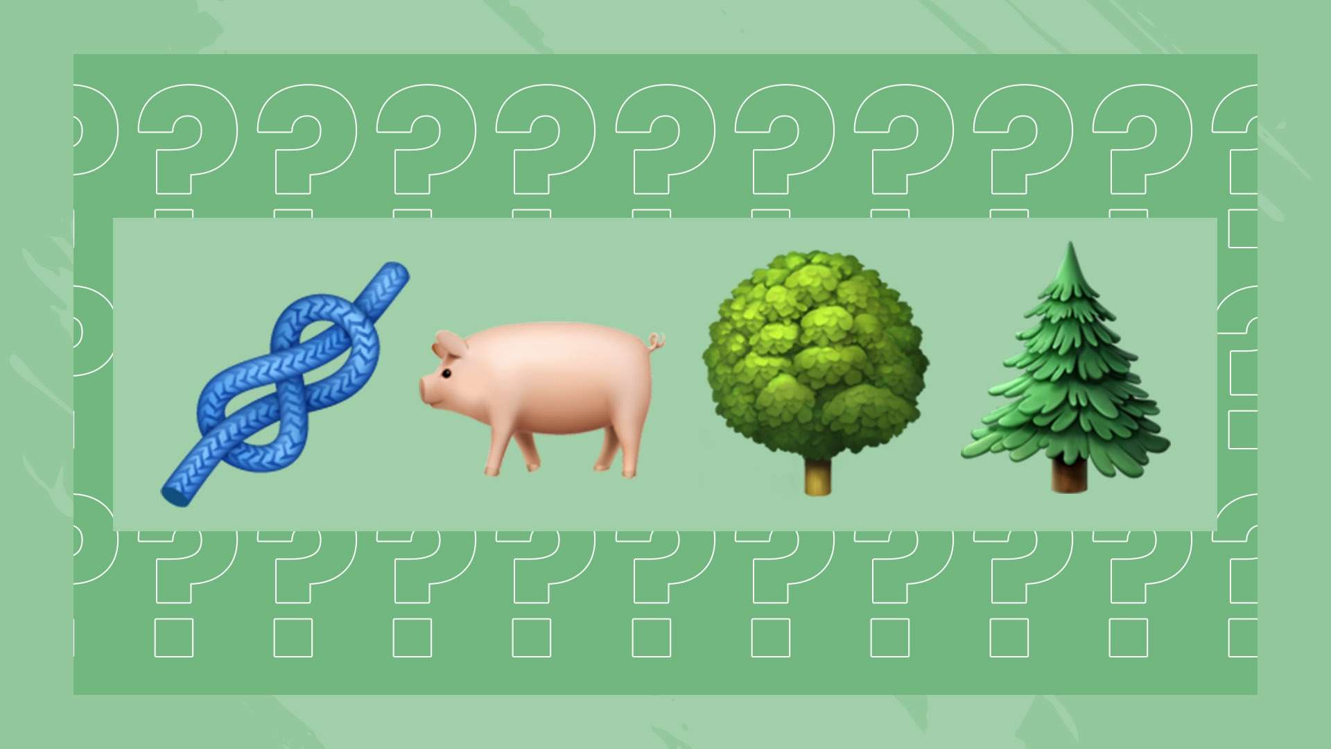 各种关于他 各种关于他